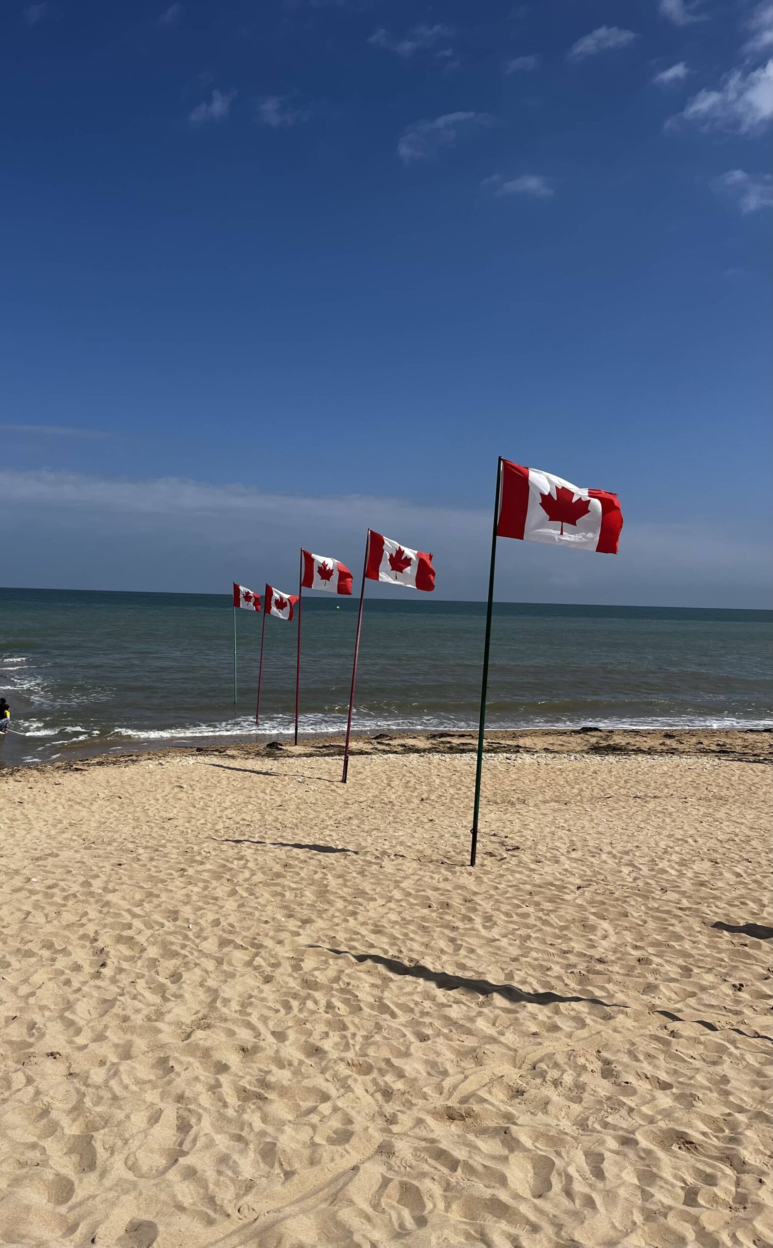 Des drapeaux canadien sur la plage du débarquement à Bernières-sur-Mer